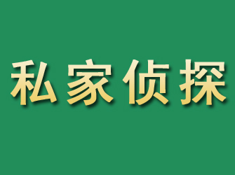 阳新市私家正规侦探